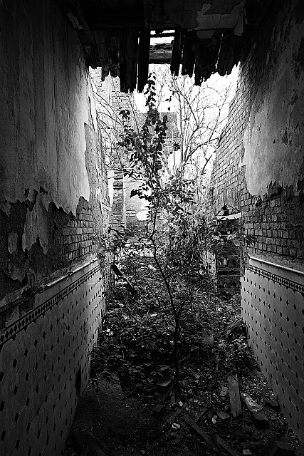 Ruiny dawnej fabryki euskolu null