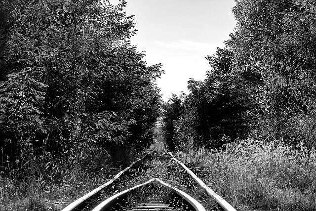 Kierunek Szubin... null