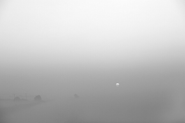 Mgła była taka... null