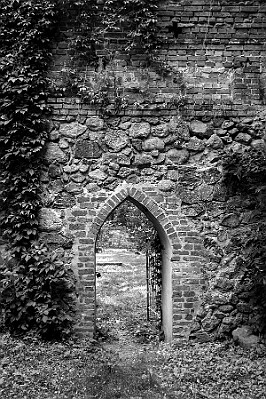 Zamek Bierzgłowski null