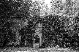 Zamek Bierzgłowski null