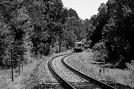 Kierunek Laskowice null