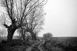 Trzebcz Szlachecki null